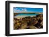 Iguanas on Espanola Island, Galapagos Islands, UNESCO World Heritage Site, Ecuador, South America-Laura Grier-Framed Photographic Print