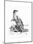 Iguanodon, 1895-null-Mounted Giclee Print