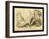 Iguanodon Bernissartensis-Joseph Smit-Framed Art Print