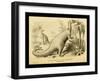 Iguanodon Bernissartensis-Joseph Smit-Framed Art Print