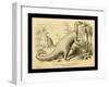 Iguanodon Bernissartensis-Joseph Smit-Framed Art Print