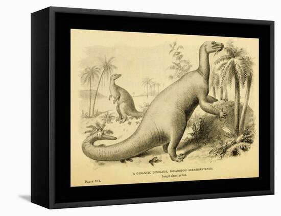 Iguanodon Bernissartensis-Joseph Smit-Framed Stretched Canvas