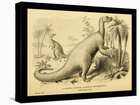 Iguanodon Bernissartensis-Joseph Smit-Stretched Canvas