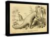 Iguanodon Bernissartensis-Joseph Smit-Stretched Canvas