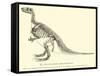 Iguanodon Bernissartensis-null-Framed Stretched Canvas