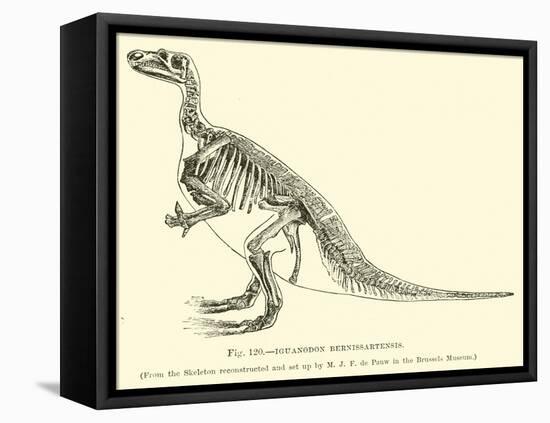 Iguanodon Bernissartensis-null-Framed Stretched Canvas