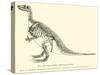 Iguanodon Bernissartensis-null-Stretched Canvas
