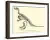 Iguanodon Bernissartensis-null-Framed Giclee Print