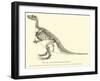 Iguanodon Bernissartensis-null-Framed Giclee Print