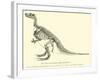 Iguanodon Bernissartensis-null-Framed Giclee Print