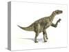 Iguanodon Dinosaur, Artwork-null-Stretched Canvas