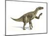 Iguanodon Dinosaur, Artwork-null-Mounted Photographic Print