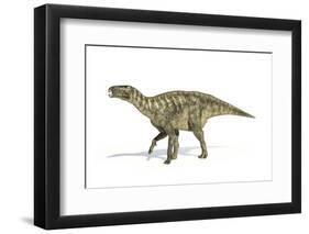 Iguanodon Dinosaur, Artwork-null-Framed Photographic Print