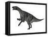 Iguanodon Dinosaur Rearing Up, White Background-Stocktrek Images-Framed Stretched Canvas