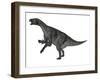 Iguanodon Dinosaur Rearing Up, White Background-Stocktrek Images-Framed Art Print