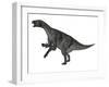 Iguanodon Dinosaur Rearing Up, White Background-Stocktrek Images-Framed Art Print