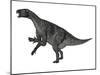 Iguanodon Dinosaur Rearing Up, White Background-Stocktrek Images-Mounted Art Print