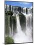 Iguassu Falls, Iguazu National Park, Unesco World Heritage Site, Argentina, South America-Jane Sweeney-Mounted Photographic Print