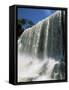 Iguassu Falls, Iguazu National Park, Unesco World Heritage Site, Argentina, South America-Jane Sweeney-Framed Stretched Canvas