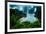 Iguassu Falls, the Largest Series of Waterfalls of the World, View from Brazilian Side-Curioso Travel Photography-Framed Photographic Print