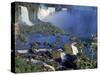 Iguassu or Iguacu Waterfalls, Formerly Known as Santa Maria Falls, on the Brazil Argentina Border-Paul Schutzer-Stretched Canvas