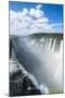 Iguazu Falls, Foz De Iguazu, Argentina-Michael Runkel-Mounted Photographic Print