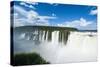 Iguazu Falls, Foz De Iguazu, Argentina-Michael Runkel-Stretched Canvas