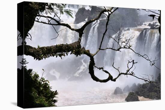 Iguazu Falls National Park-Tupungato-Stretched Canvas