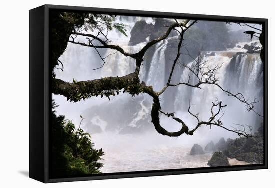 Iguazu Falls National Park-Tupungato-Framed Stretched Canvas