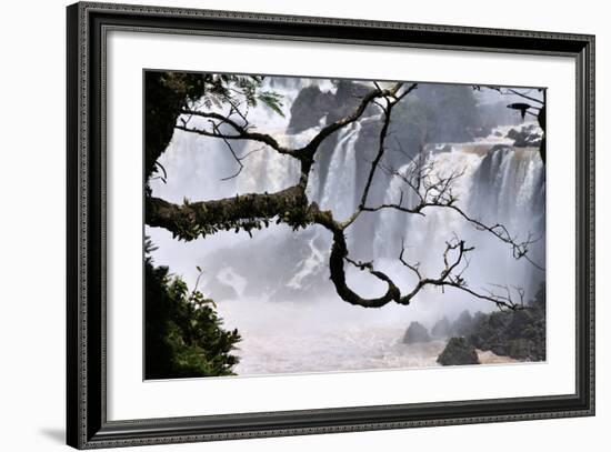 Iguazu Falls National Park-Tupungato-Framed Photographic Print