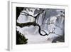 Iguazu Falls National Park-Tupungato-Framed Photographic Print