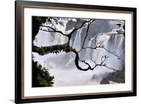 Iguazu Falls National Park-Tupungato-Framed Photographic Print