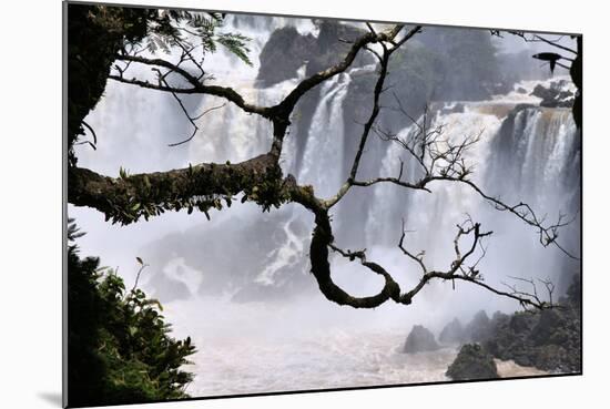 Iguazu Falls National Park-Tupungato-Mounted Photographic Print