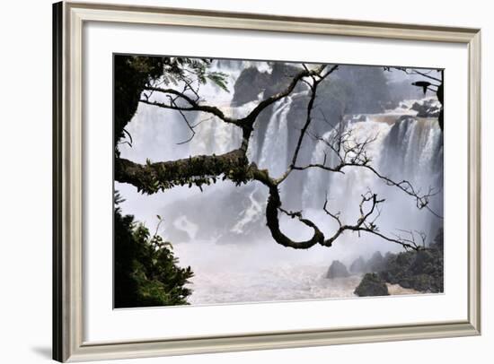 Iguazu Falls National Park-Tupungato-Framed Photographic Print