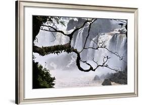 Iguazu Falls National Park-Tupungato-Framed Photographic Print