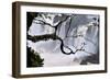 Iguazu Falls National Park-Tupungato-Framed Photographic Print