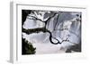 Iguazu Falls National Park-Tupungato-Framed Photographic Print