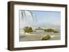 Iguazu Falls, Parque National De Iguazu, Brazil-Daniele Falletta-Framed Photographic Print