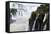 Iguazu Falls-ckchiu-Framed Stretched Canvas