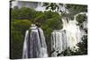 Iguazu Falls-luiz rocha-Stretched Canvas
