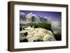 Iguazu Falls-Neale Cousland-Framed Premium Photographic Print