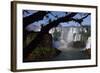 Iguazu Falls-W. Perry Conway-Framed Photographic Print