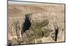 Ihlara Canyon, Western Cappadocia, Anatolia, Turkey, Asia Minor, Eurasia-Tony Waltham-Mounted Photographic Print