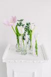 Tulips in Bottles on White Background Studio-Ihor Kopakov-Framed Photographic Print