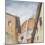 II Duomo Di Firenze-Farrell Douglass-Mounted Giclee Print