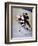 Iice Hockey Players in Action-null-Framed Photographic Print