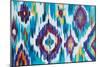 Ikat Jewel I-Farida Zaman-Mounted Premium Giclee Print