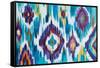 Ikat Jewel I-Farida Zaman-Framed Stretched Canvas