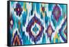 Ikat Jewel I-Farida Zaman-Framed Stretched Canvas