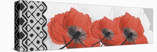 Ikat Poppies-Albert Koetsier-Stretched Canvas